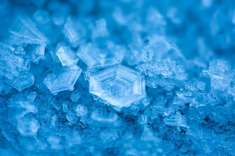 Frozen Rabbit